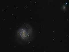 Clicca per ingrandire