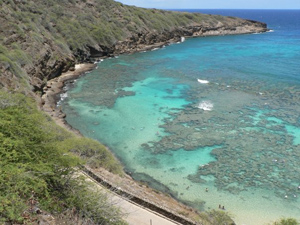 Clicca per ingrandire